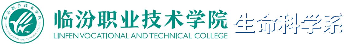 BB贝博艾弗森官方网站